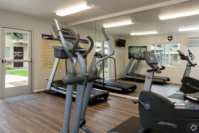 Gimnasio - Los Arboles Apartments