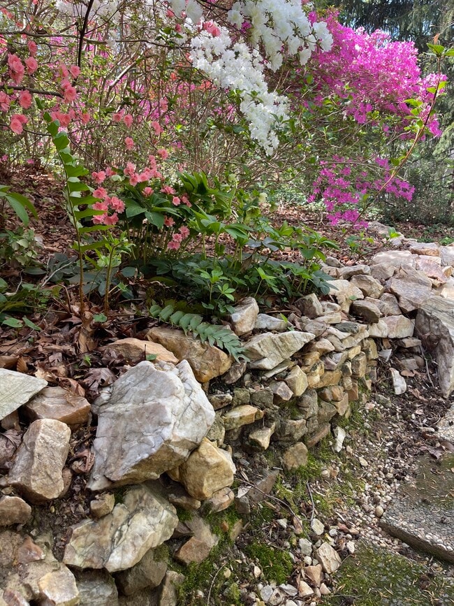 Building Photo - 6662 Van Winkle Dr Unit Studio