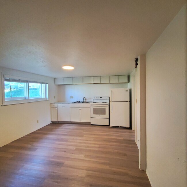 Kitchen/Main Area - 1242 S Main St Unit Basement