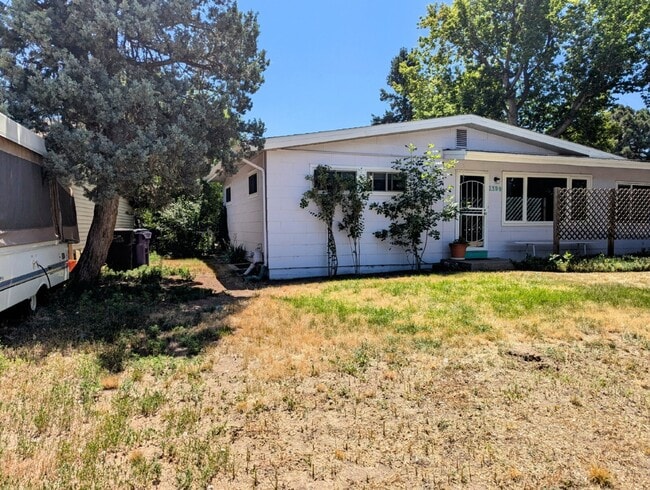 Basement for Rent - Shared Living in Comfo... - Basement for Rent - Shared Living in Comfo... House