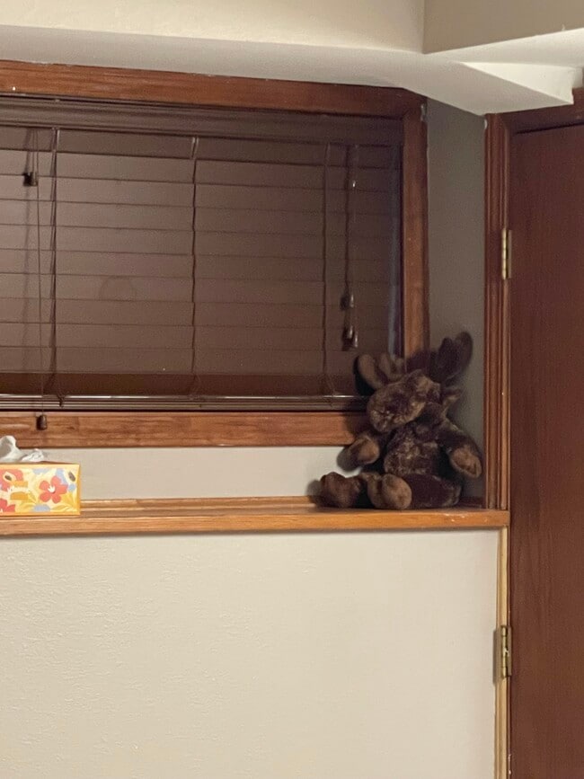 Photo - “A Slice Of Moose Paradise”