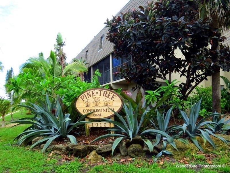 Photo - 1010 Pine Tree Dr