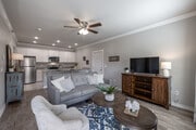 1BR, 1BA - 696SF - Living Room