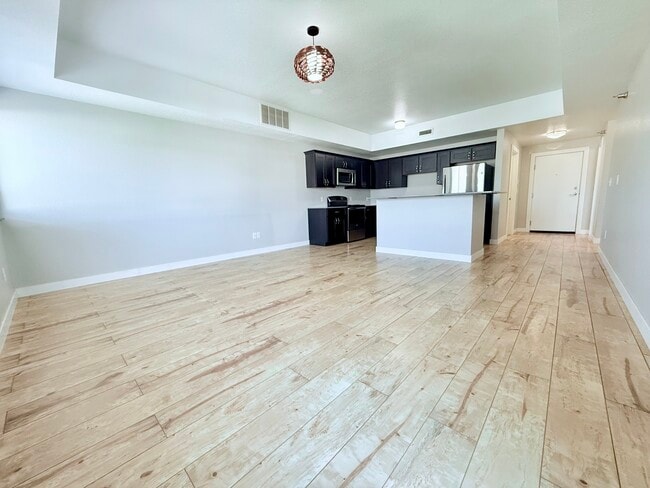 Living Room / Kitchen - 221 E 5th St Unit 309