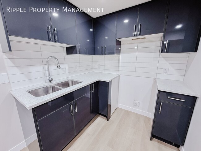 NEWLY RENOVATED 3 BEDS, 1 BATHS LOWER UNIT