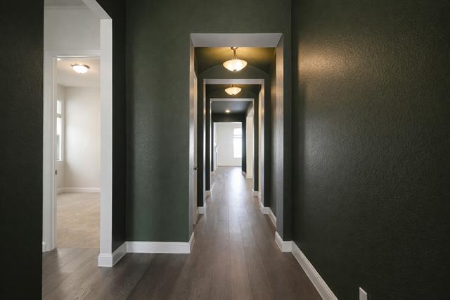 Photo - 8121 Mary Curran Ct