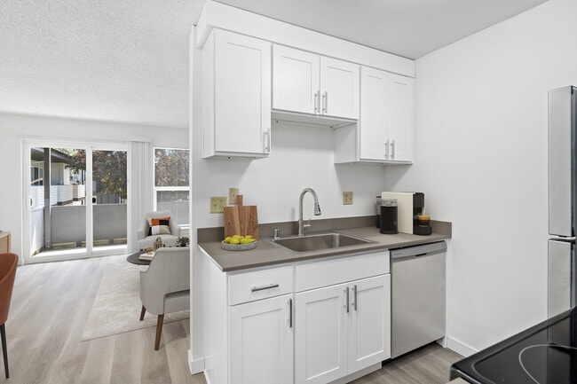 Kitchen and Living Room