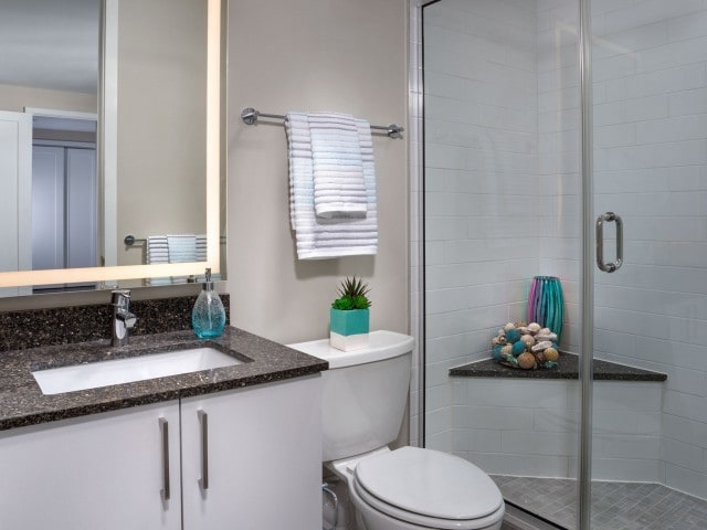 2 Bedroom Bathroom - 2Hopkins Apts