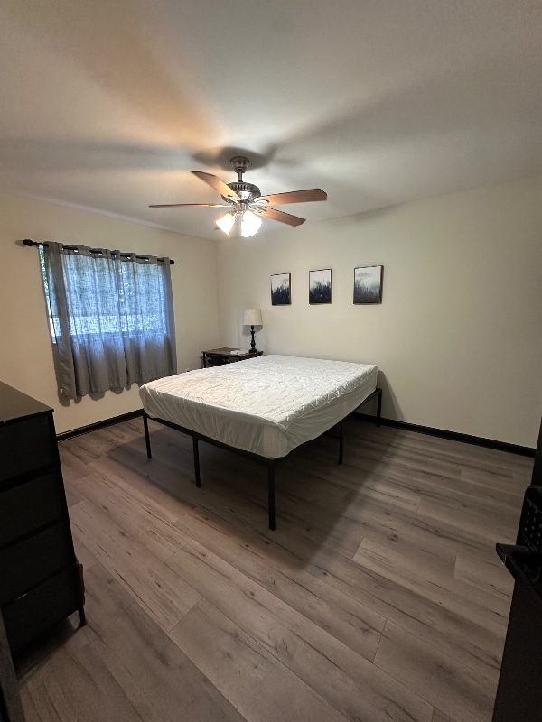 Building Photo - 8328 Cristobal Cir Rental