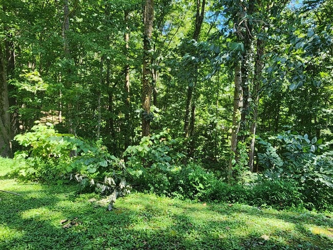 Photo - 2205 Forest Acres Dr