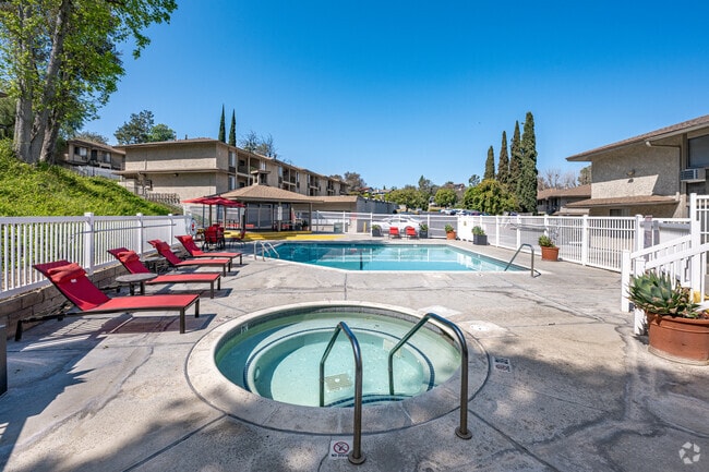 Pool and Spa