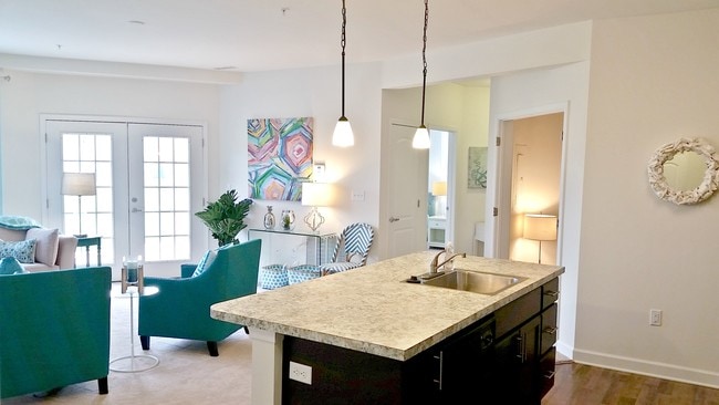 Open Kitchen and Living Area - Leander Lakes