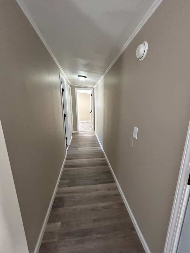 Photo - 526 Chris St