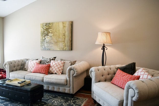 Photo - The Paddock at Sheffield Downs