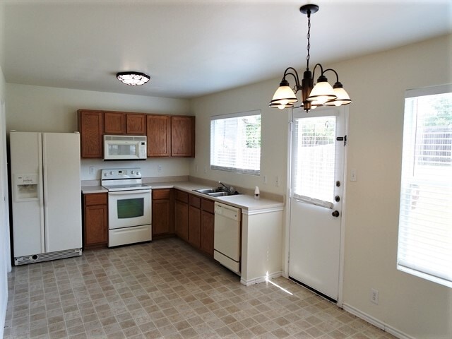 Photo - 142 Blue Juniper