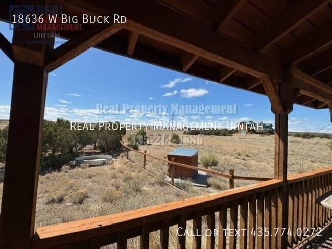 18636 Big Buck W