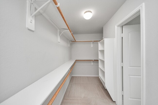 Photo - 2931 Palm Oaks Trail