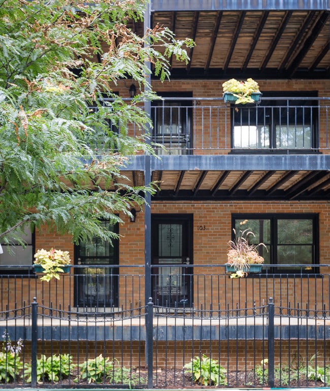 Photo - Ivy Terrace
