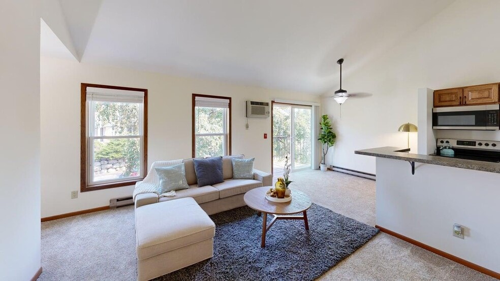 Spacious, Natural Light & Vaulted Ceilings