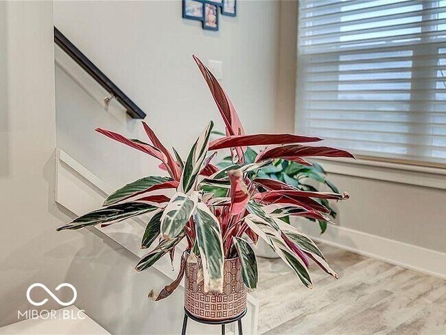 Photo - 2579 Filson St