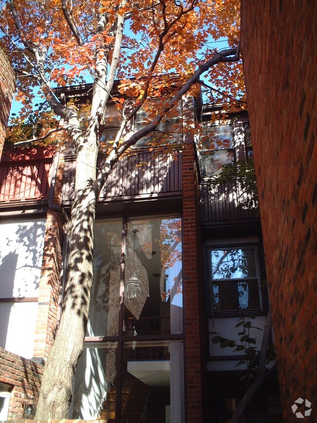 Building Photo - 2126 Lombard St Rental