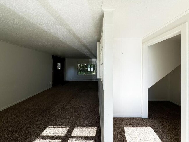 Photo - 2963 Alder St