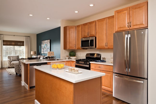 Photo - Dutch Village 4