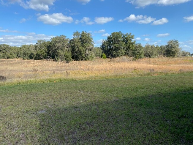 Photo - Oak Hill Plantation - 4/2/2  Won't Last Long!