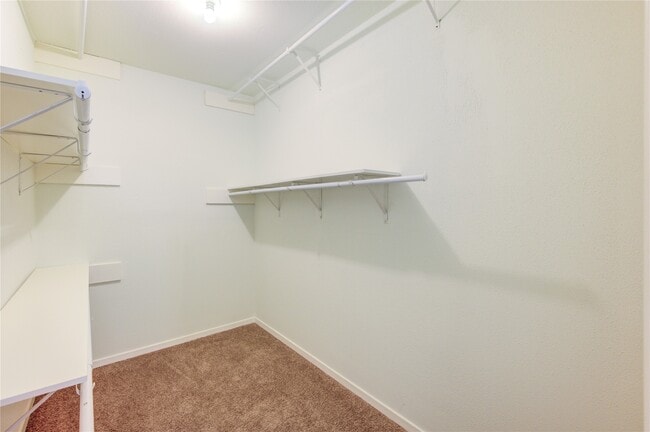 Building Photo - 2215 Squire Dobbins Dr Rental