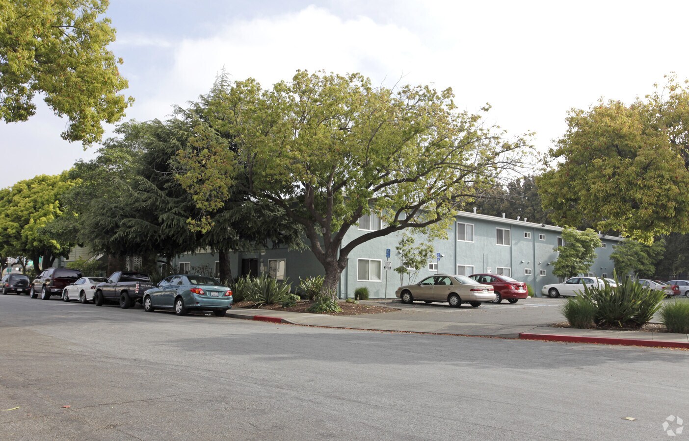 Photo - The Surf Apartments