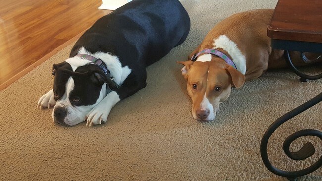 Photo - Sunpointe Townhomes