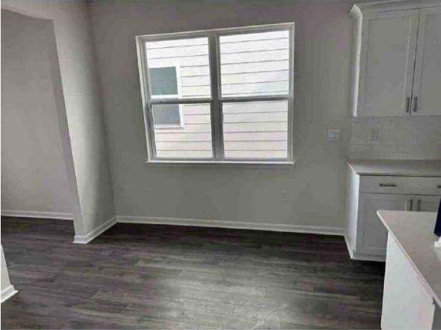 Photo - 553 Lemon Daisy Ln