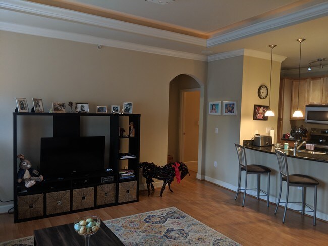 Photo - 2756 Mcknight Crossing Ct Unit 2756