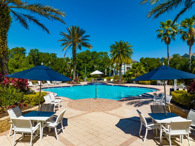 Pool - 12065 Tuscany Bay Dr Tampa, FL 33626