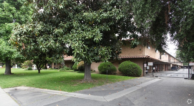 Live Oak Plaza - Live Oak Plaza