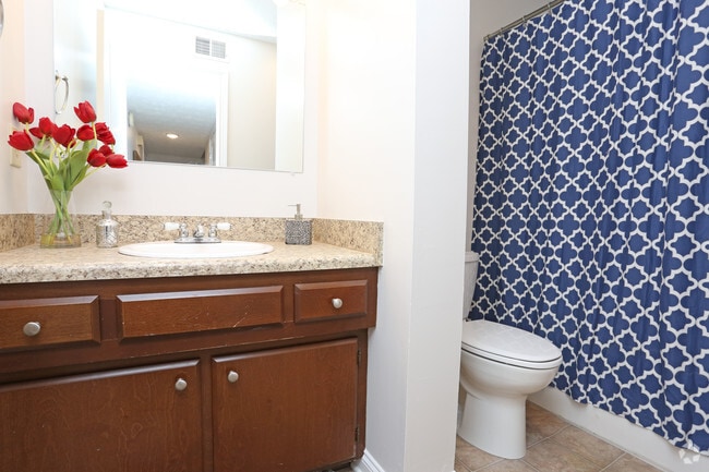 1BR, 1BA - 750 SF - Bathroom