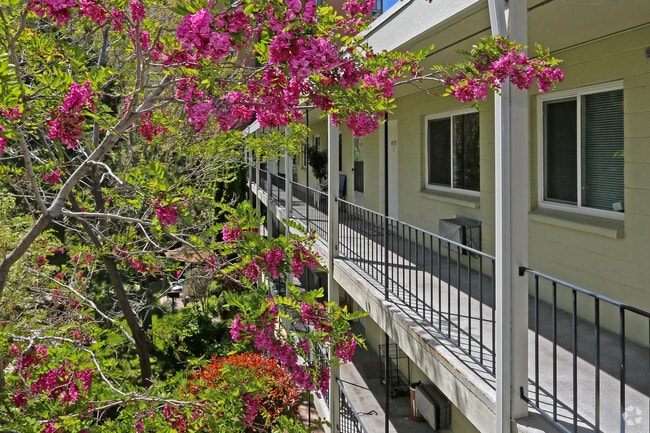 Gorgeous Landscaping