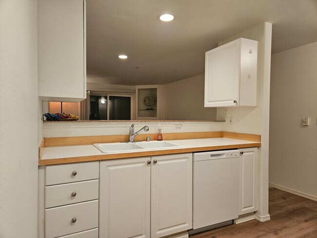 Double sink and dishwasher