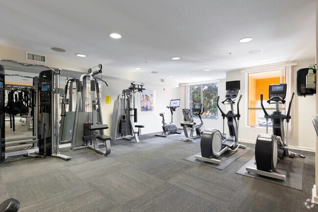 Gimnasio