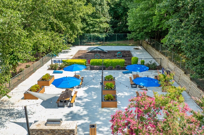 Lounge and Bark Park