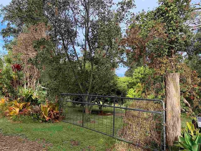 Building Photo - 2190 Piiholo Rd