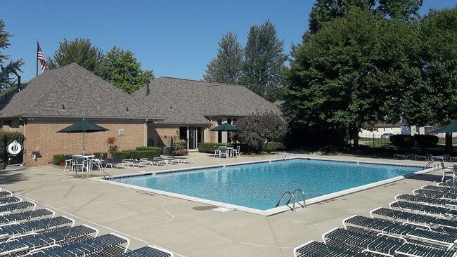 Photo - Shelby Forest