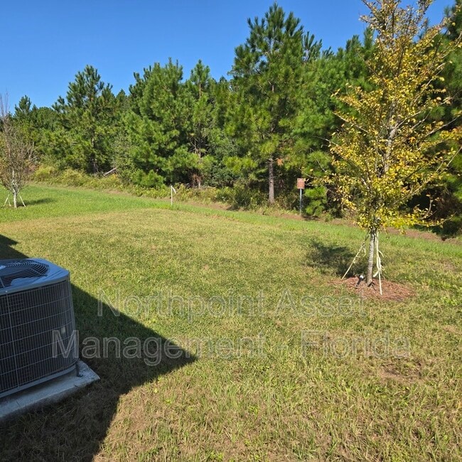 12743 Cacao Tree Trl. House House Rental in Jacksonville, FL