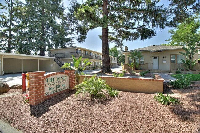 The Pines Apartments