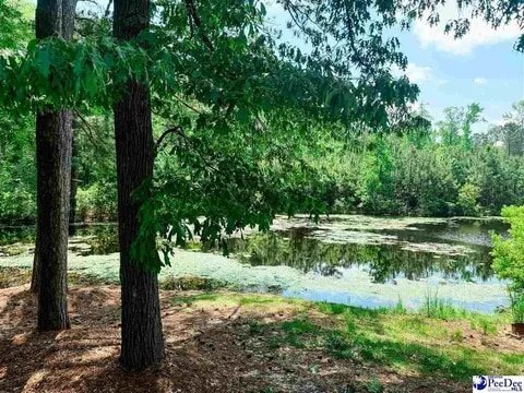 Photo - 303 Gator Lake Ct