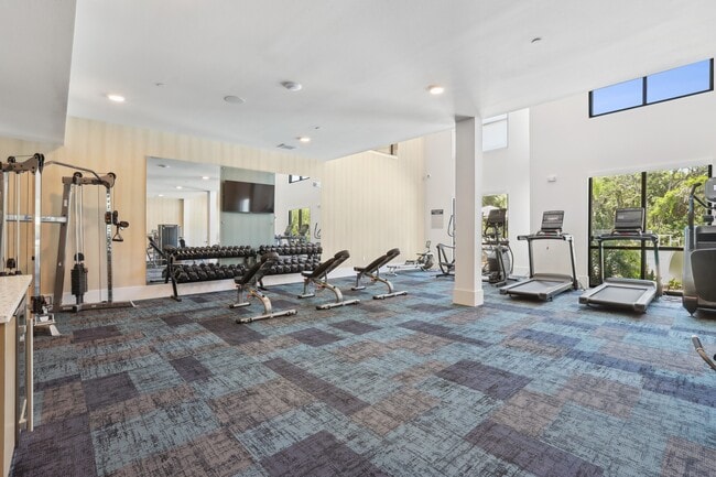 Expansive High-Endurance Fitness Center