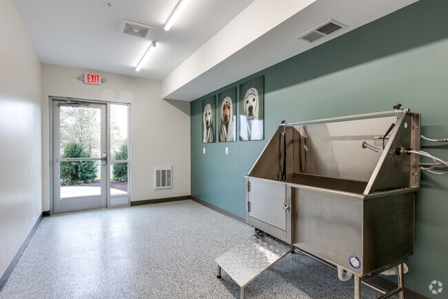 Pet Spa