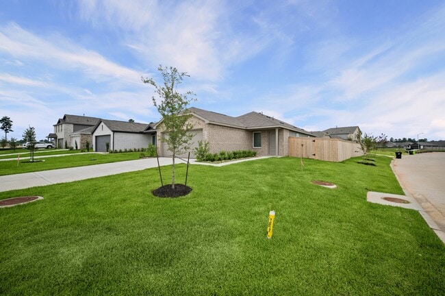Photo - 702 Umbrella Tree Dr