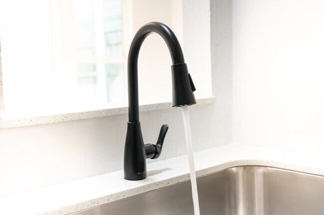 Photo - Plaza Sonora