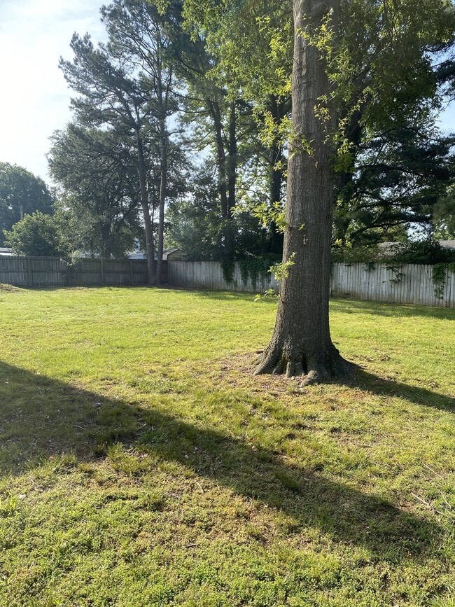Large Backyard - 2016 W Jefferson St